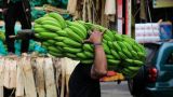 Эквадорские бананы сдержали инфляцию в Томской области