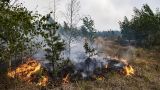 В Забайкалье из-за лесных пожаров введен режим ЧС