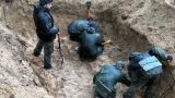 Дело о геноциде: в Псковской области найдены останки 188 человек