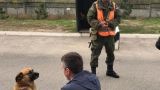Выборы в Молдавии: Киртоакэ в Приднестровье обрадовалась только собака