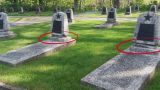 В Германии на «Зееловских высотах» осквернили кладбище советских воинов