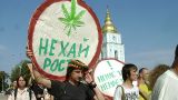 «Наркотики должны служить людям во благо»: Киев намерен легализовать марихуану