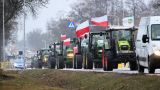 В польском Вроцлаве фермеры забросали яйцами представительство Еврокомиссии