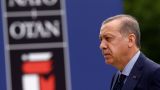 Эрдоган: НАТО не вносит никакого вклада в борьбу Турции с террористами
