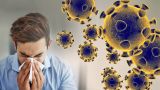 «Домашняя» простуда может защитить от «пришлого» вируса — иммунолог