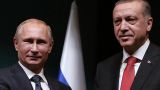 Путин и Эрдоган встретятся осенью и обсудят «Турецкий поток»