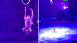 ЧП в Новосибирском цирке: гимнастка сорвалась с большой высоты