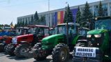 В Молдавии фермеры возвращаются к протестам: отрасль активно уничтожают