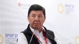 Киргизия нуждается в российских технологиях — Сариев