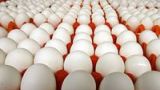 Россия может запретить ввоз яиц из США