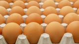 Казахстан вводит полугодовой запрет на ввоз куриных яиц