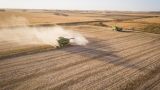 Землю на Украине могут прибрать к рукам три агрохолдинга — у фермеров нет денег
