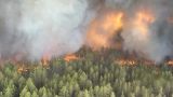 Лесные пожары в Канаде делают воздух в США «вредным для здоровья»