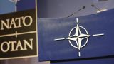 Bloomberg: Имя нового генсека НАТО станет известно весной или летом 2024 года