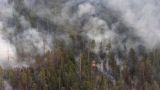 В Якутии и Хабаровском крае отменен введенный из-за лесных пожаров режим ЧС