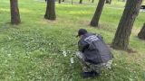 В Москве обнаружили два обезглавленных тела