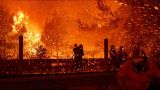 Площадь природных пожаров в Приморье за сутки выросла на тысячу гектаров