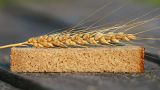За последние две недели поставки пшеницы через Суэцкий канал сократились на 40%