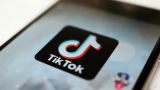 TikTok стал инструментом Запада в антироссийской пропаганде — СМИ