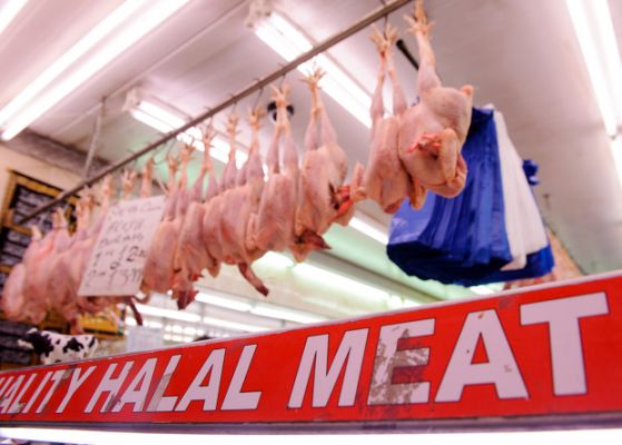 Катар одобрил ввоз животноводческой продукции из Российской Федерации Катар одобрил ввоз животноводческой продукции из Российской Федерации