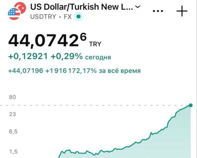 Итог дружбы с США: турецкая лира достигла нового исторического минимума к доллару