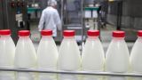 Казахстан посуровел к «Доброй буренке»: российское молоко попало под ограничения