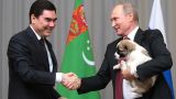 Бердымухамедов подарил Путину щенка алабая
