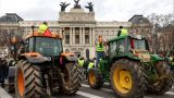 Тысячи фермеров прошли тракторным маршем по Мадриду