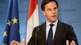 Премьер Нидерландов призвал страны НАТО помочь Украине ценой своей безопасности