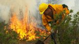 В Якутии ликвидировано 11 тысяч гектаров лесных пожаров