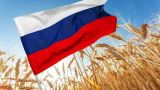 Посольство России в Египте официально прокомментировало зерновую сделку