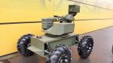 Робота «Депеша» из России сравнили с конкурентом из США MUTT