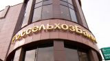 Государство докапитализирует Россельхозбанк на 20 млрд рублей