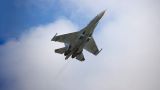 «И целого неба мало»: Су-27 отправил «немца» над Балтикой восвояси