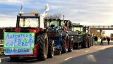 Фермерские протесты перекинулись на Францию: заблокирована трасса под Тулузой