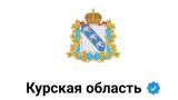 В Курской области голосуют «достаточно охотно»: нарушений на выборах губернатора нет