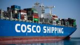 Шольц обвел Хабека вокруг пальца: Китайская компания получит долю в порту Гамбурга