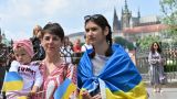 В Чехии трудоустроили более 101 тыс. беженцев с Украины