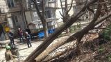 В Молдавии из-за сильного ветра 10 населенных пунктов остались без электричества