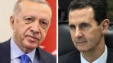 Турецкий торг — он специфичный самый: Анкара зазывает Дамаск к примирению — мнение