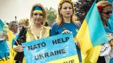 В Киеве признали, что НАТО не хочет принимать Украину в свой состав