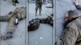 ЛДПР предлагает казнить украинских боевиков, участвовавших в пытках