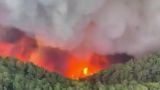 В дыму и пламени: на испанском острове Тенерифе бушуют мощные лесные пожары