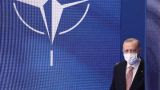 Эрдоган пожаловался в НАТО на США перед встречей с Байденом