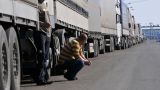 Огромная «овощная» пробка собралась на границе Казахстана и России