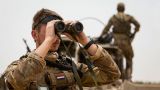 Нидерланды рассматривают возможность возвращения ко всеобщей воинской обязанности