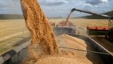 МИД России рассказал о подробностях зерновой сделки