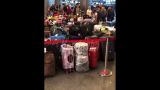 В аэропорту «Внуково» огромные очереди — коллапс с системой обработки багажа