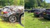 Он ядреный, он проймет: Фермер отомстил нахальным владельцам BMW и Mercedes