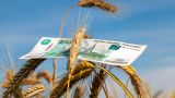 Россия и Египет могут использовать рубли в торговле зерном